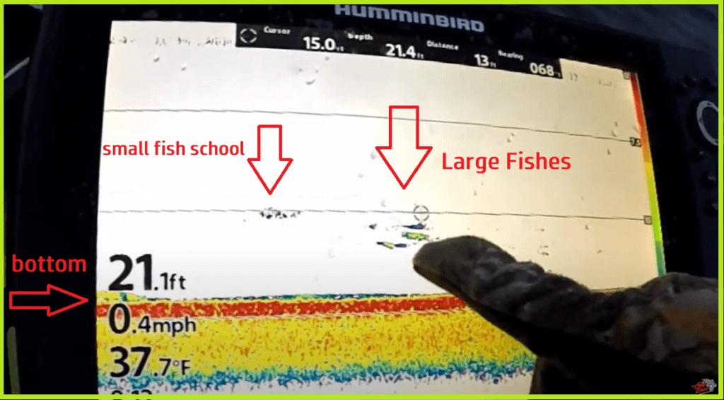 Sonar IMage - how to read sonar image.